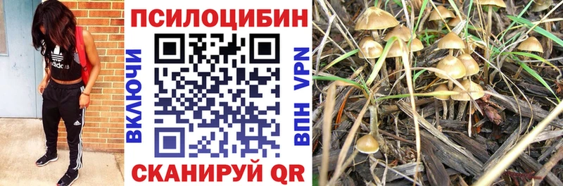 мега сайт  цены наркотик  Сертолово  Псилоцибиновые грибы ЛСД 